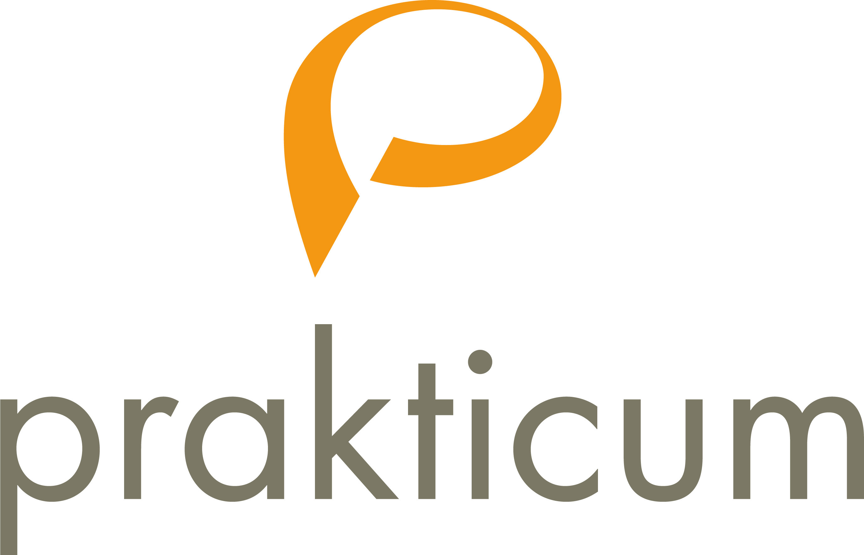 prakticum logo